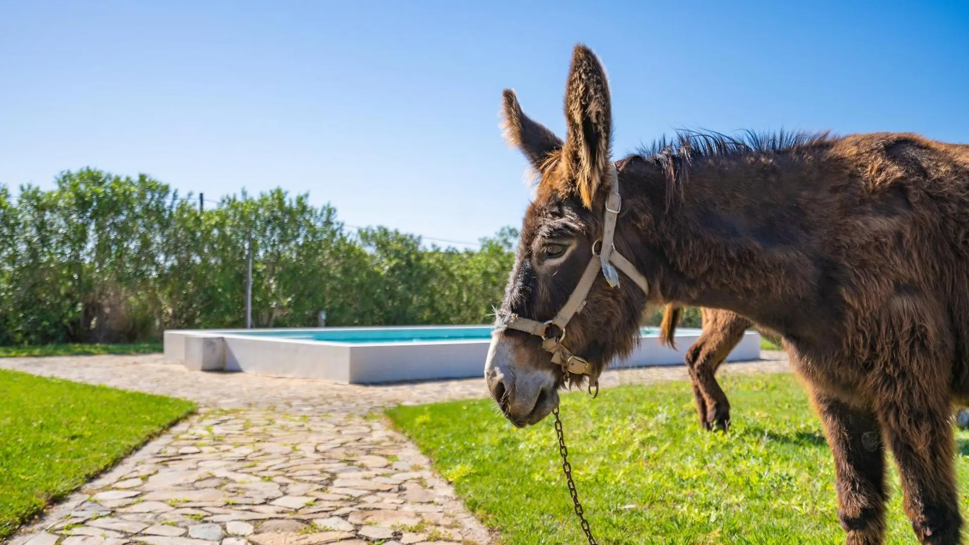 Burro Ville By Host Wise location