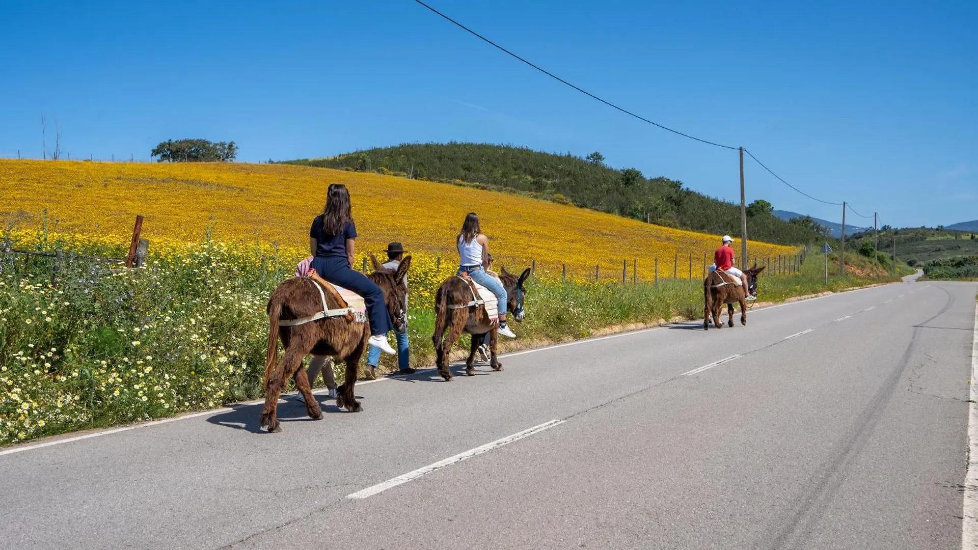 Burro Ville Villa Figueira Farm stay Portimao