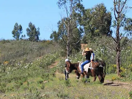 Burro Ville Villa Figueira Farm stay Portimao