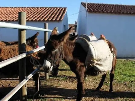 Farm stay Burro Ville Villa Figueira