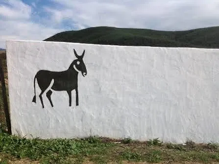 Farm stay Burro Ville Villa Figueira
